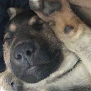 Meet your Posher, Stephen